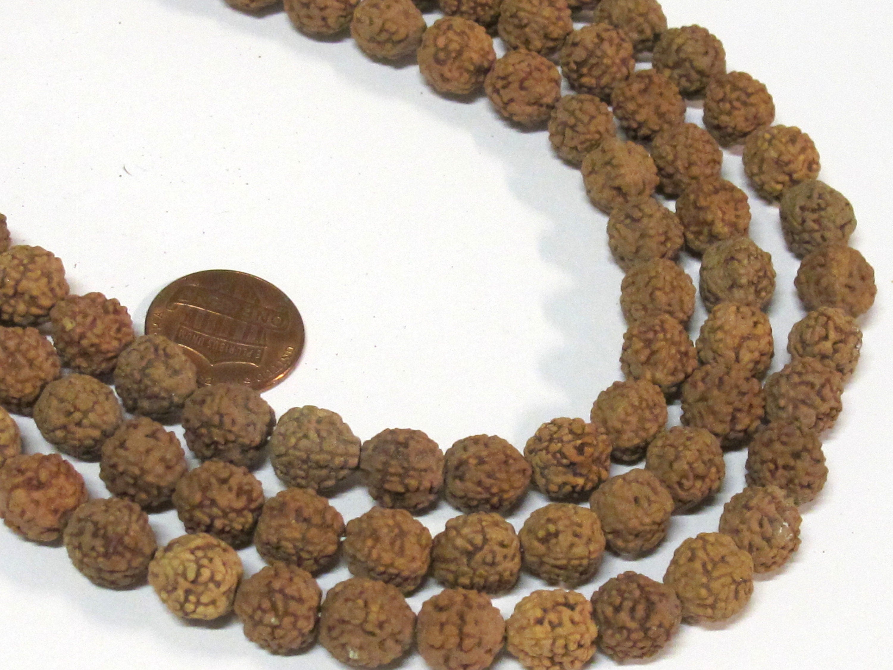 20 beads rudraksha mala beads supplies - Natural Rudraksha seed beads from Nepal 8 -9 mm -tibetan mala supplies ML122A