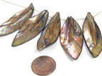5 beads - shell beads shell charms Long leaf shape MOP shell beads brown color - SP065