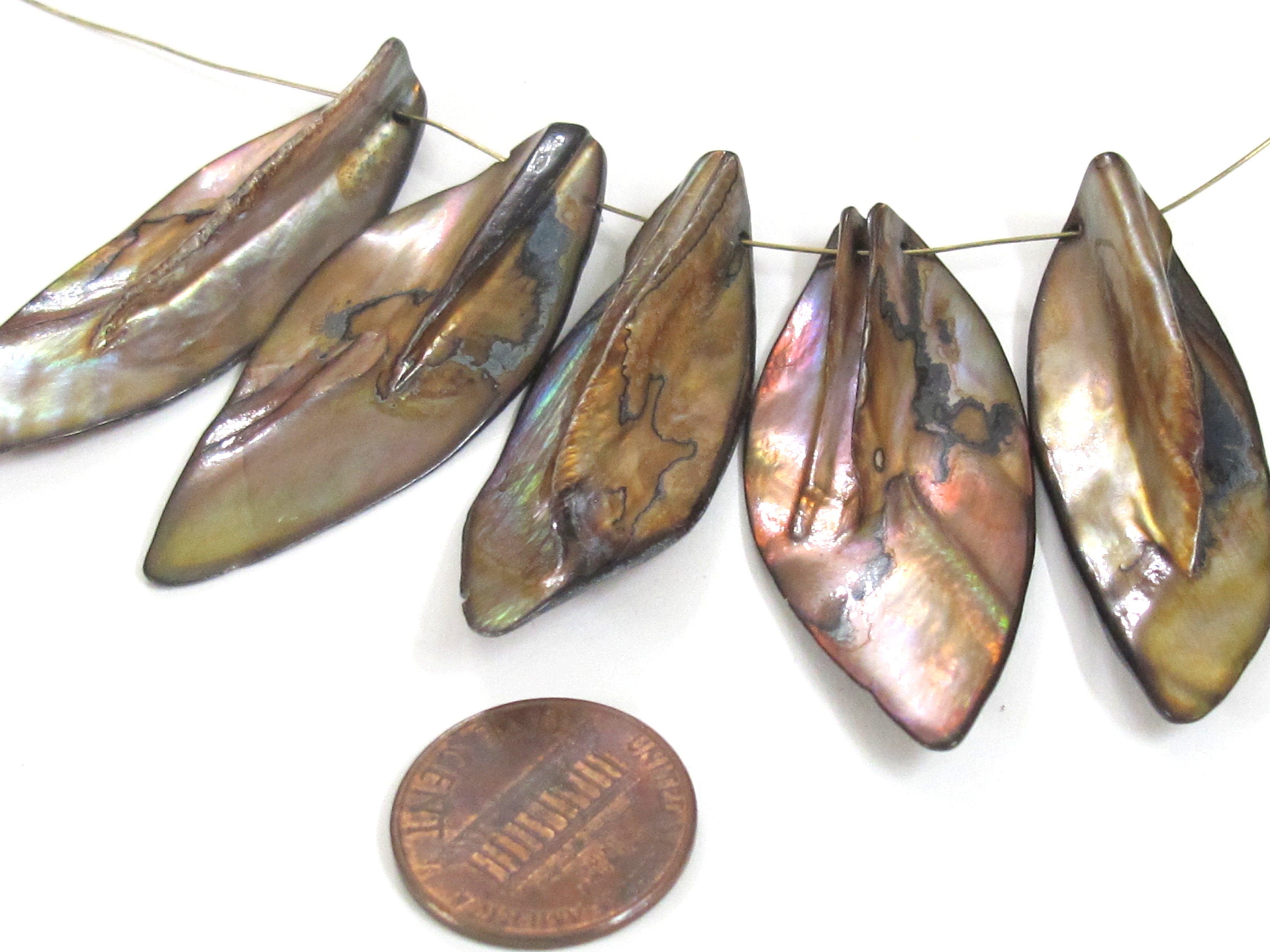 5 beads - shell beads shell charms Long leaf shape MOP shell beads brown color - SP065