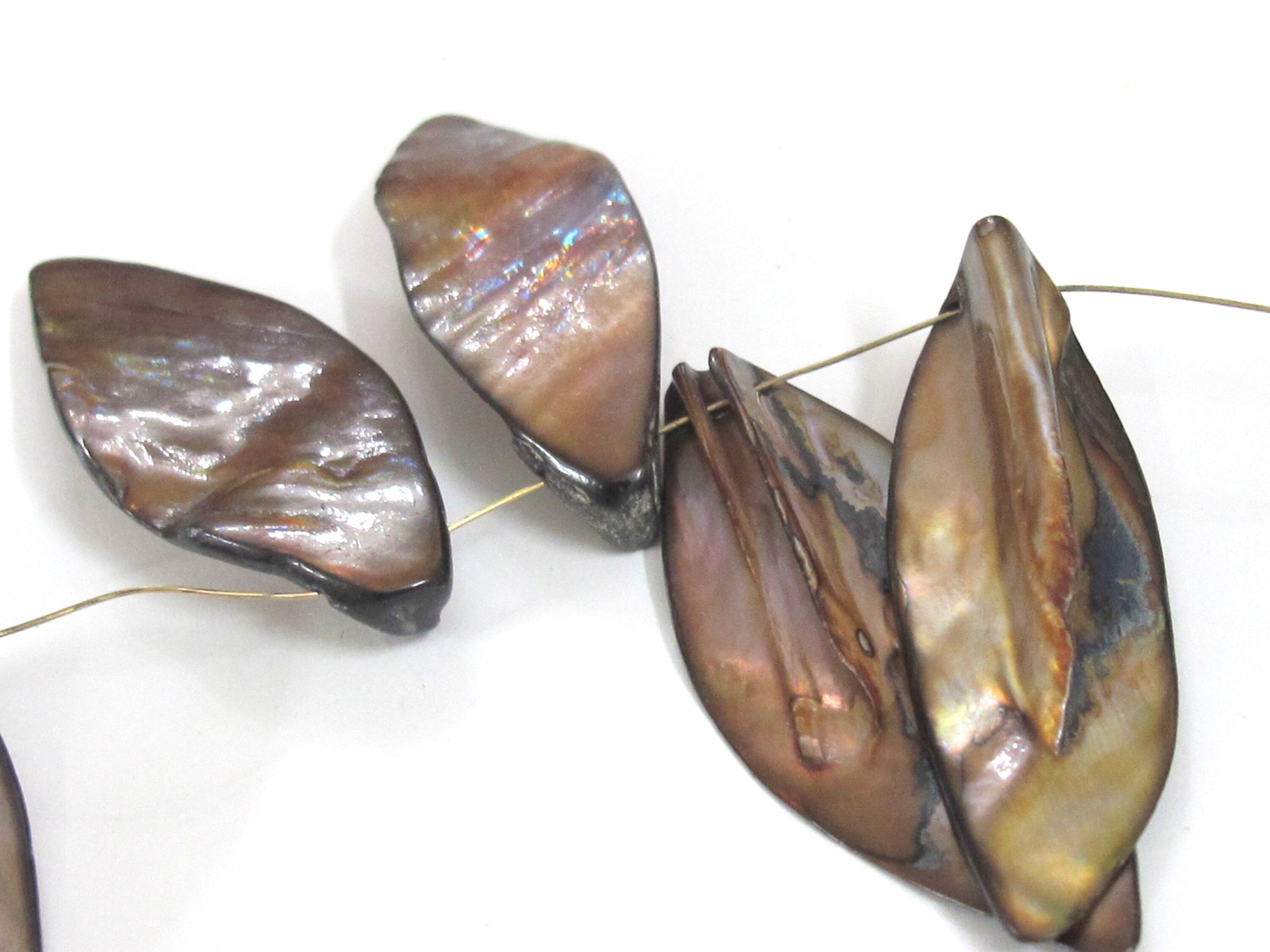 5 beads - shell beads shell charms Long leaf shape MOP shell beads brown color - SP065