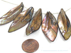 5 beads - shell beads shell charms Long leaf shape MOP shell beads brown color - SP065