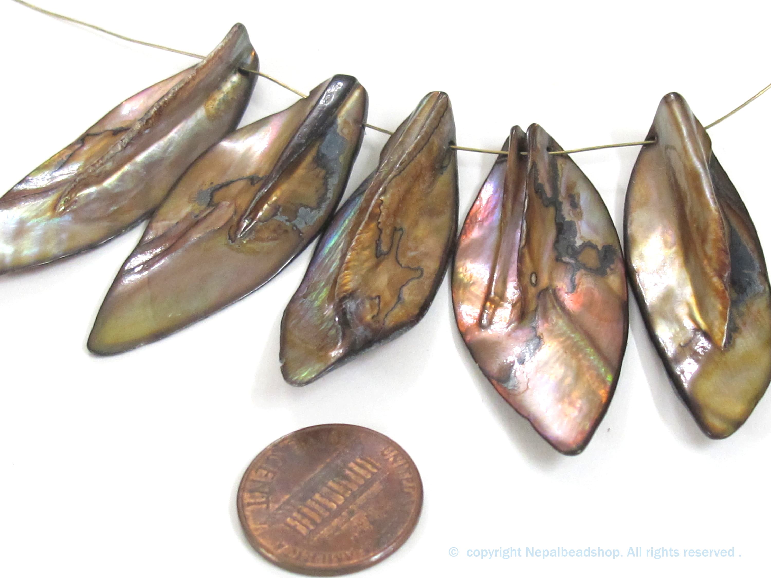5 beads - shell beads shell charms Long leaf shape MOP shell beads brown color - SP065