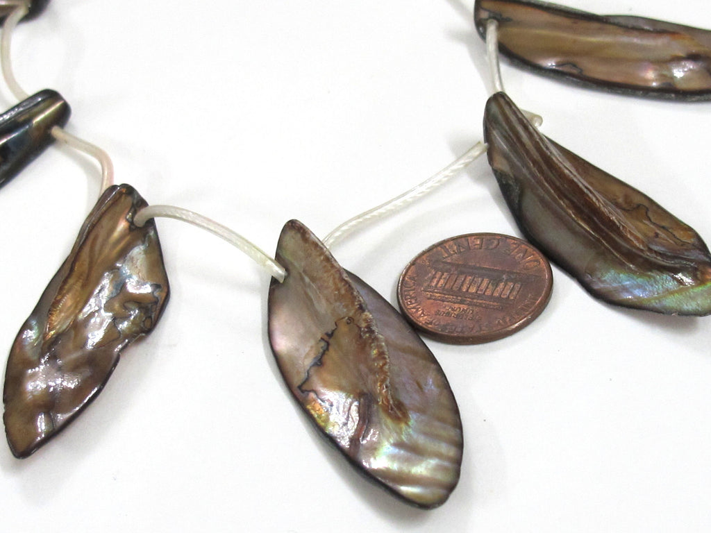 5 beads - shell beads shell charms Long leaf shape MOP shell beads brown color - SP065
