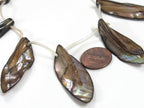 5 beads - shell beads shell charms Long leaf shape MOP shell beads brown color - SP065