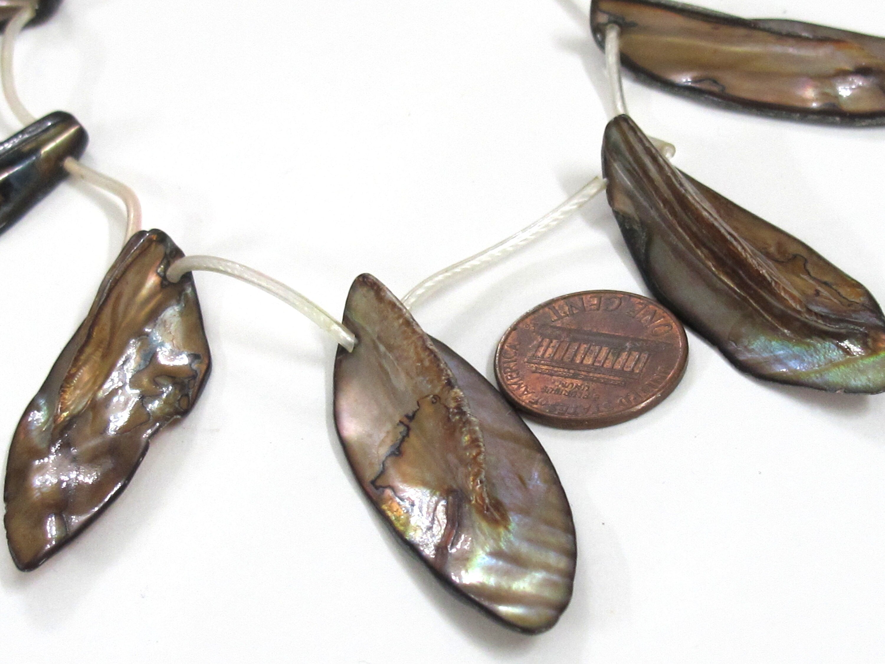 5 beads - shell beads shell charms Long leaf shape MOP shell beads brown color - SP065