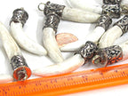1 Pendant - Tibetan silver color capped Naga Conch shell pendant from Nepal - PM295M