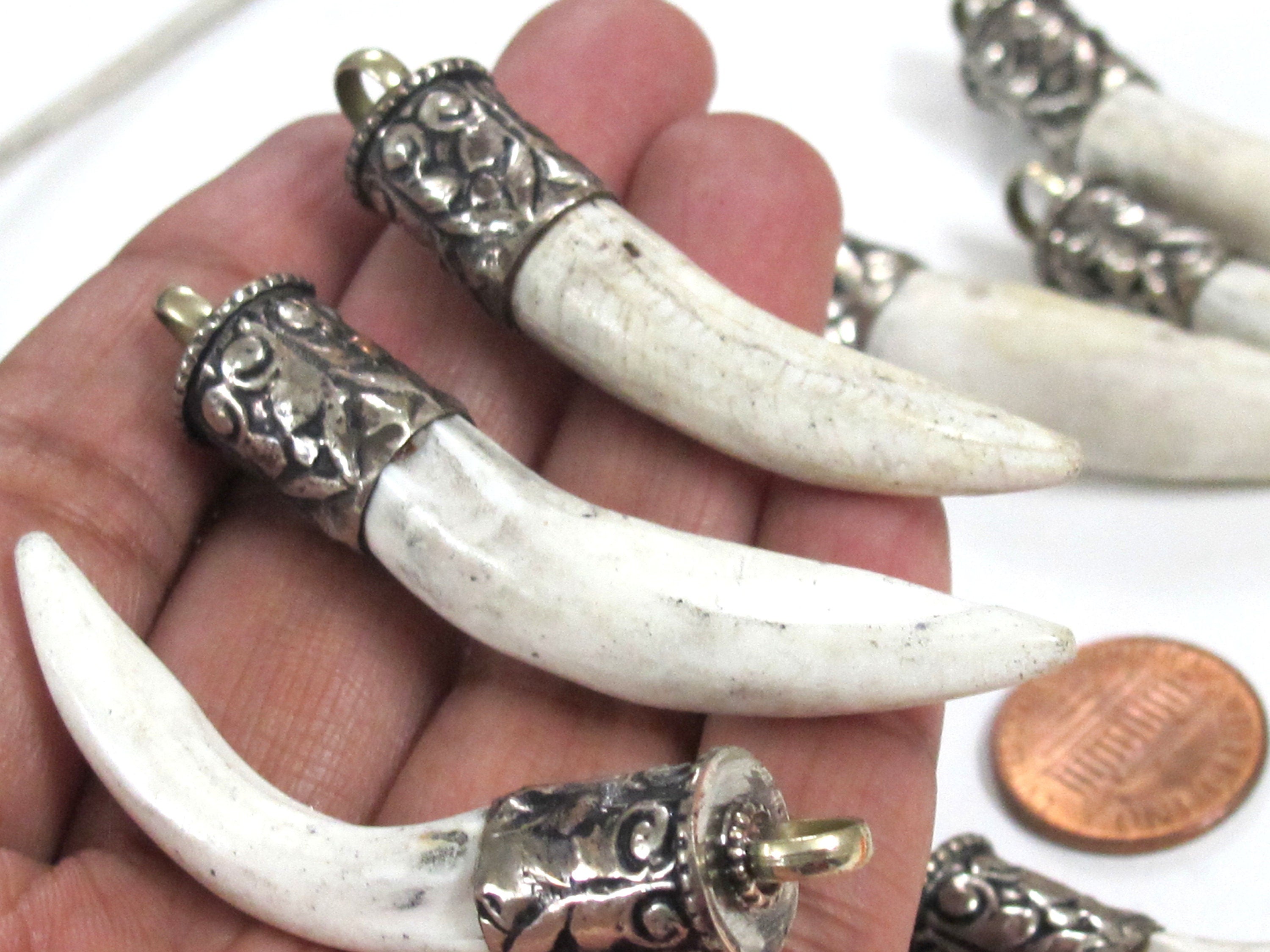 1 Pendant - Tibetan silver color capped Naga Conch shell pendant from Nepal - PM295M