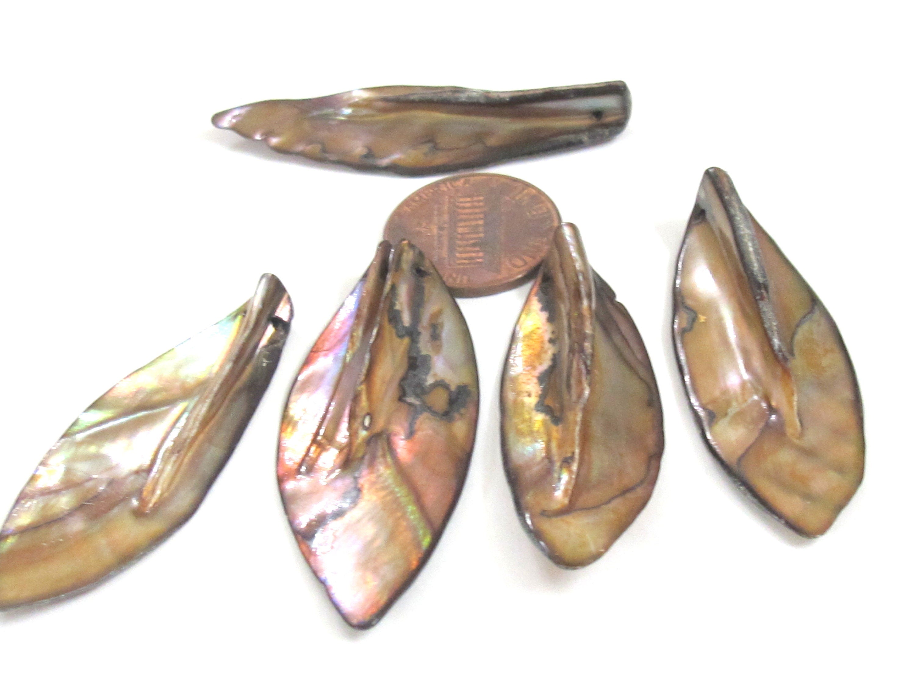 5 beads - shell beads shell charms Long leaf shape MOP shell beads brown color - SP065