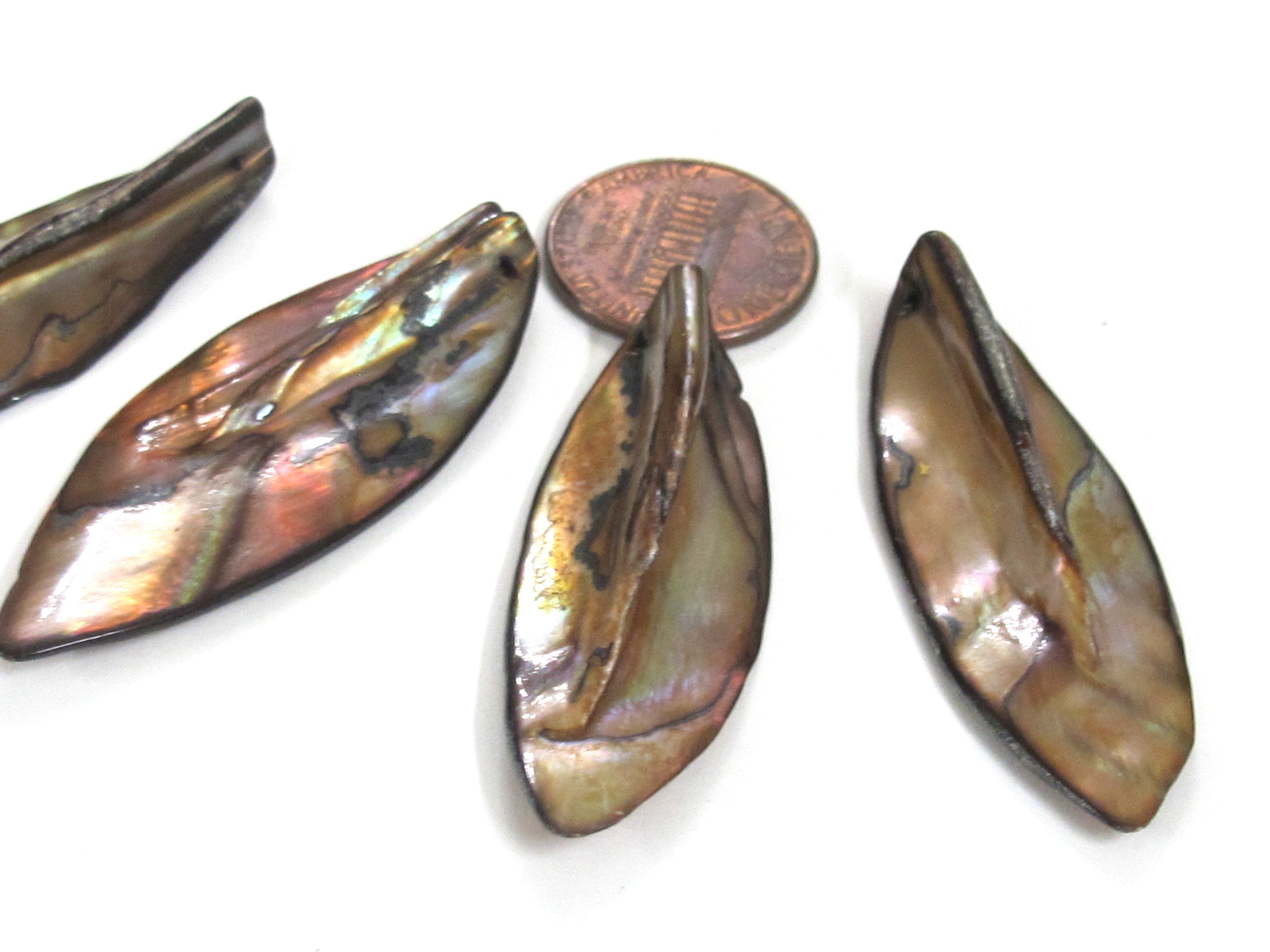5 beads - shell beads shell charms Long leaf shape MOP shell beads brown color - SP065