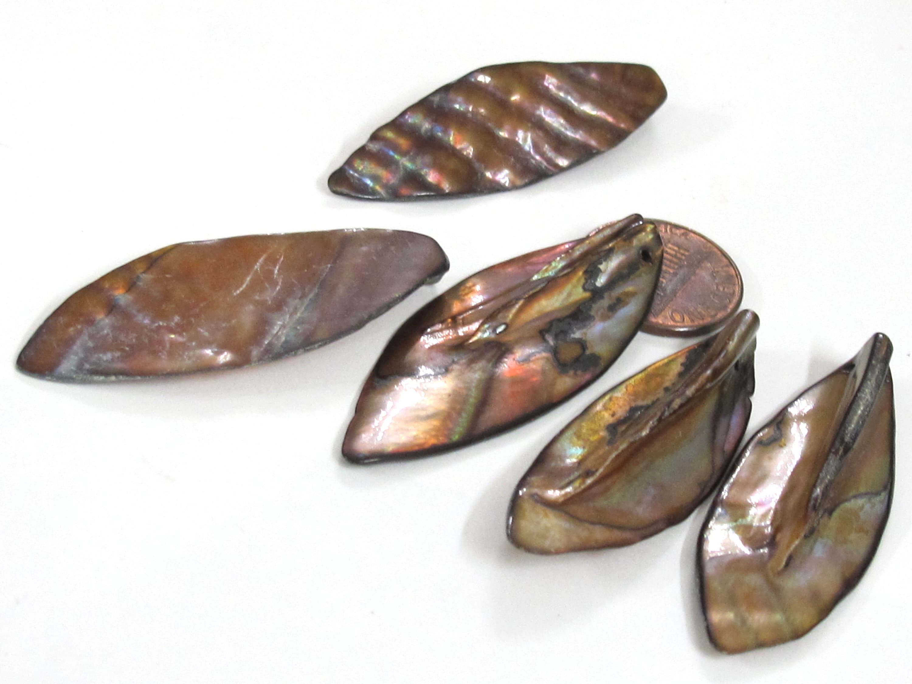 5 beads - shell beads shell charms Long leaf shape MOP shell beads brown color - SP065