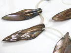 5 beads - shell beads shell charms Long leaf shape MOP shell beads brown color - SP065