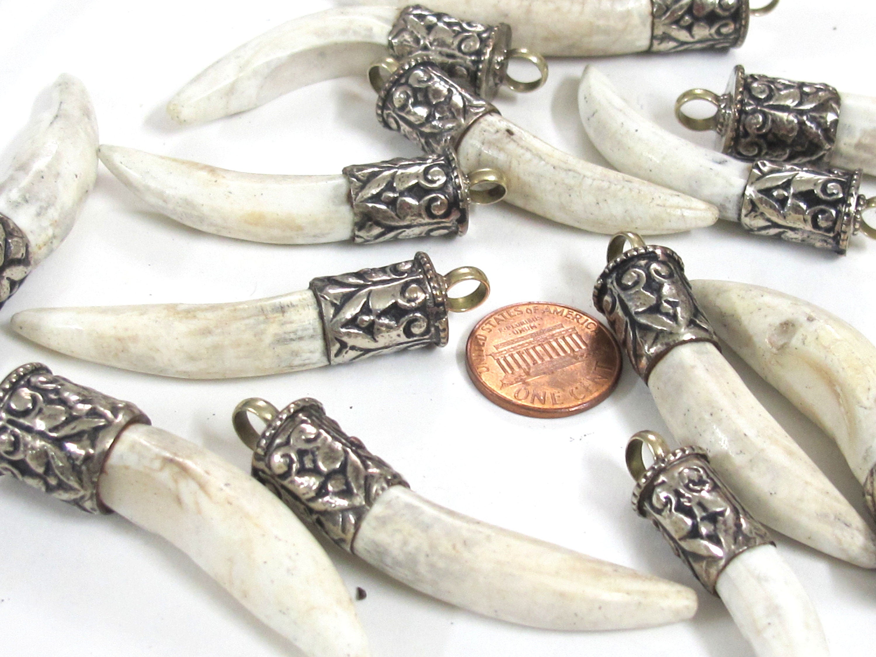 1 Pendant - Tibetan silver color capped Naga Conch shell pendant from Nepal - PM295M