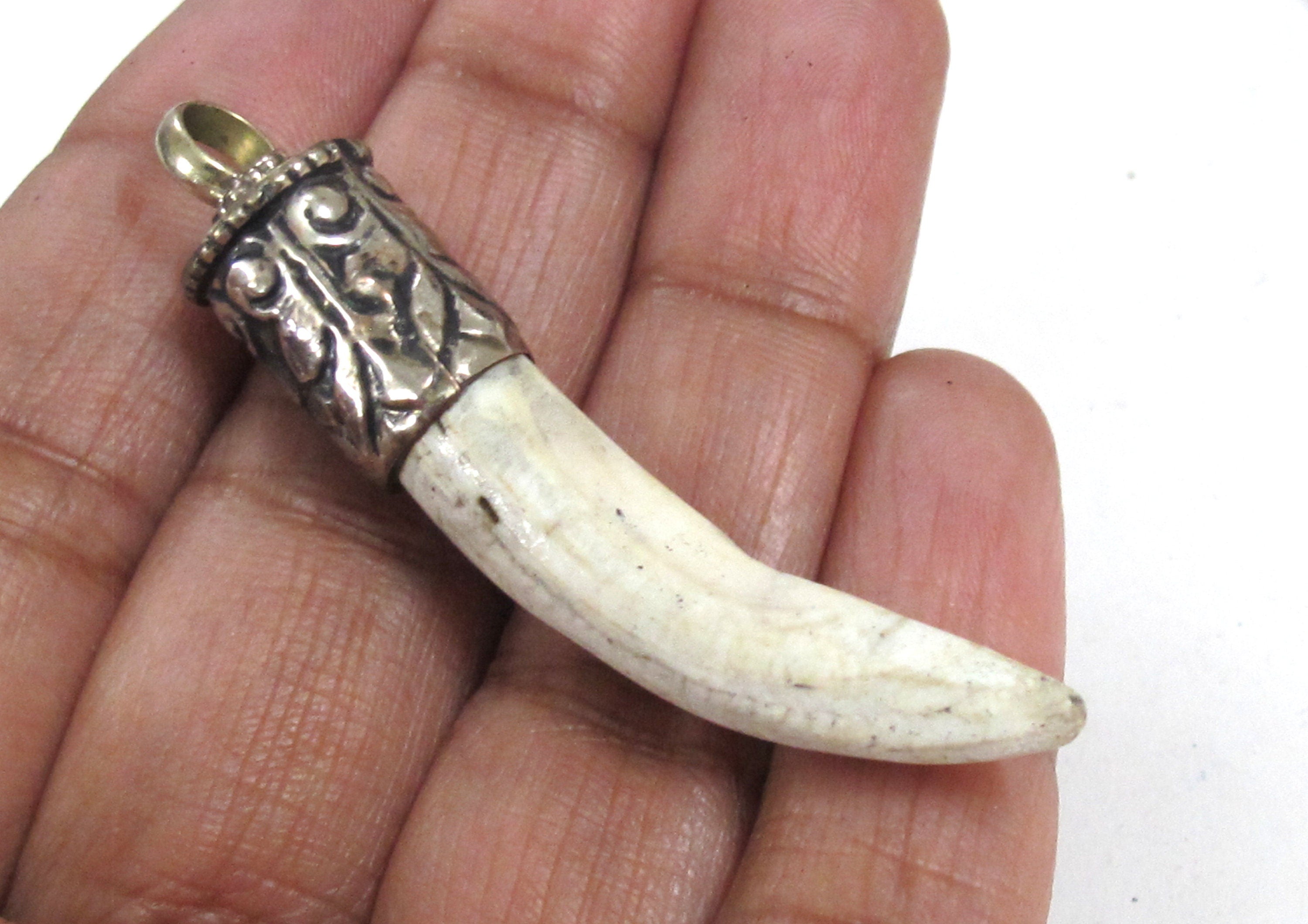 1 Pendant - Tibetan silver color capped Naga Conch shell pendant from Nepal - PM295M