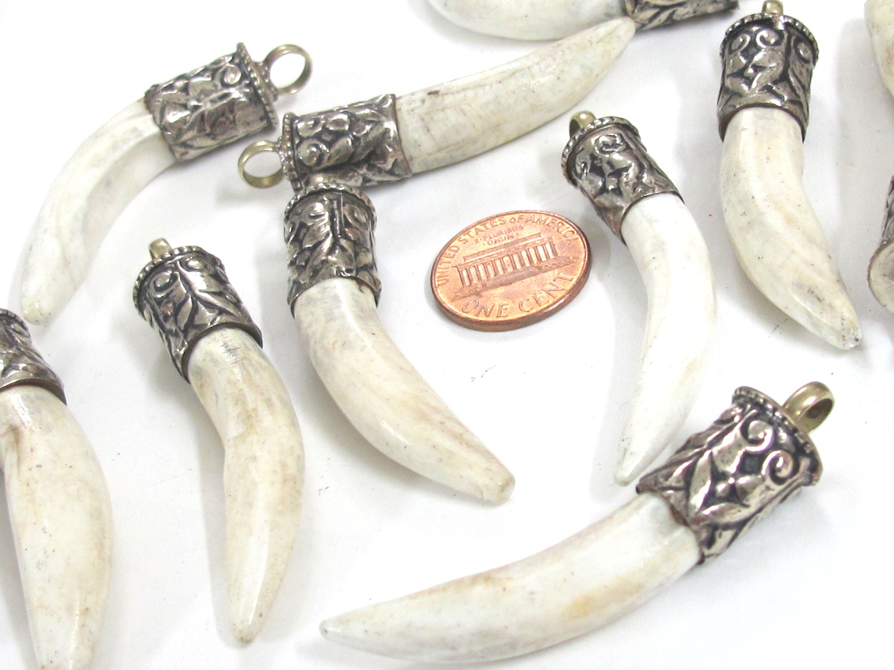 1 Pendant - Tibetan silver color capped Naga Conch shell pendant from Nepal - PM295M