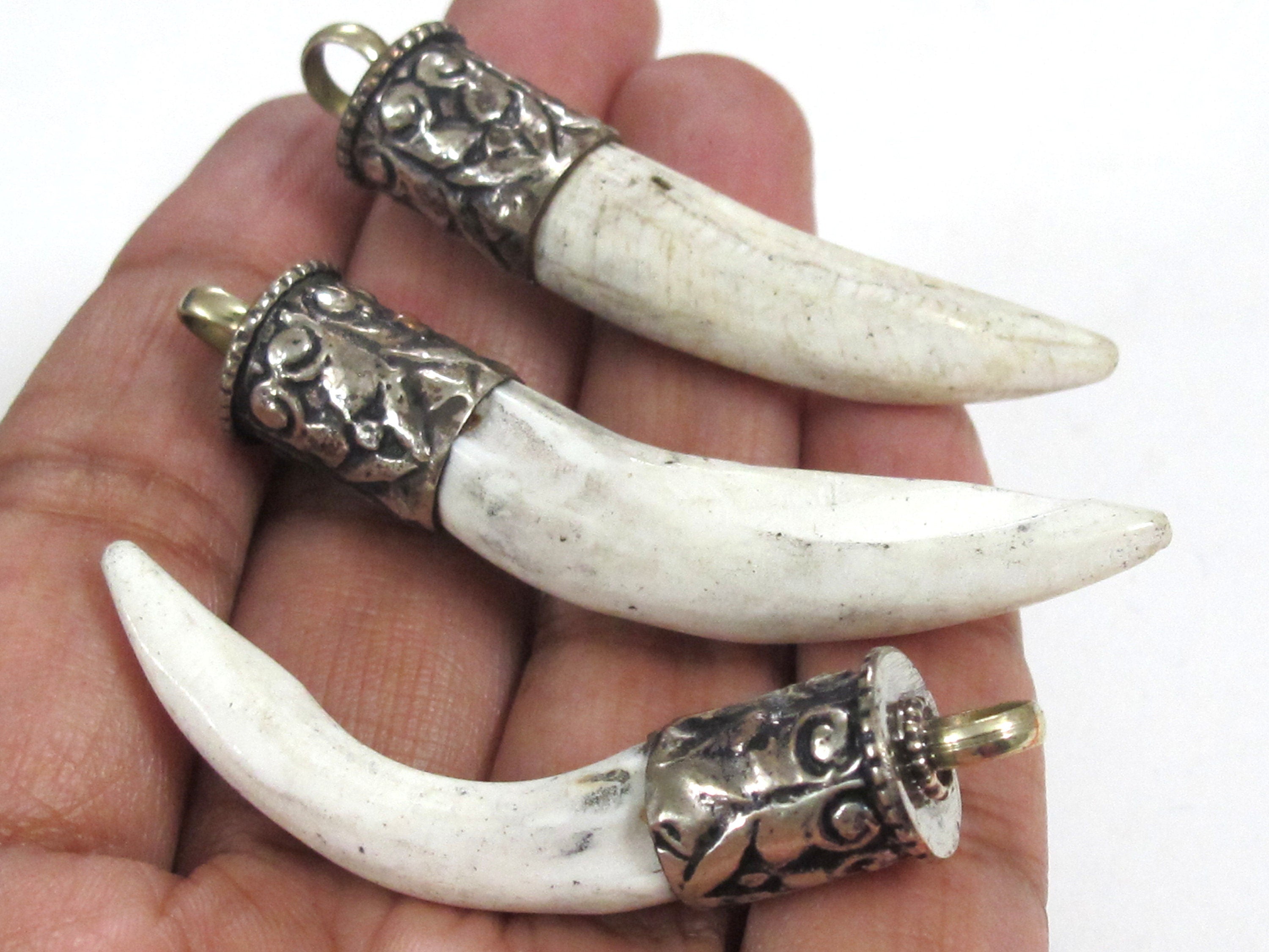1 Pendant - Tibetan silver color capped Naga Conch shell pendant from Nepal - PM295M