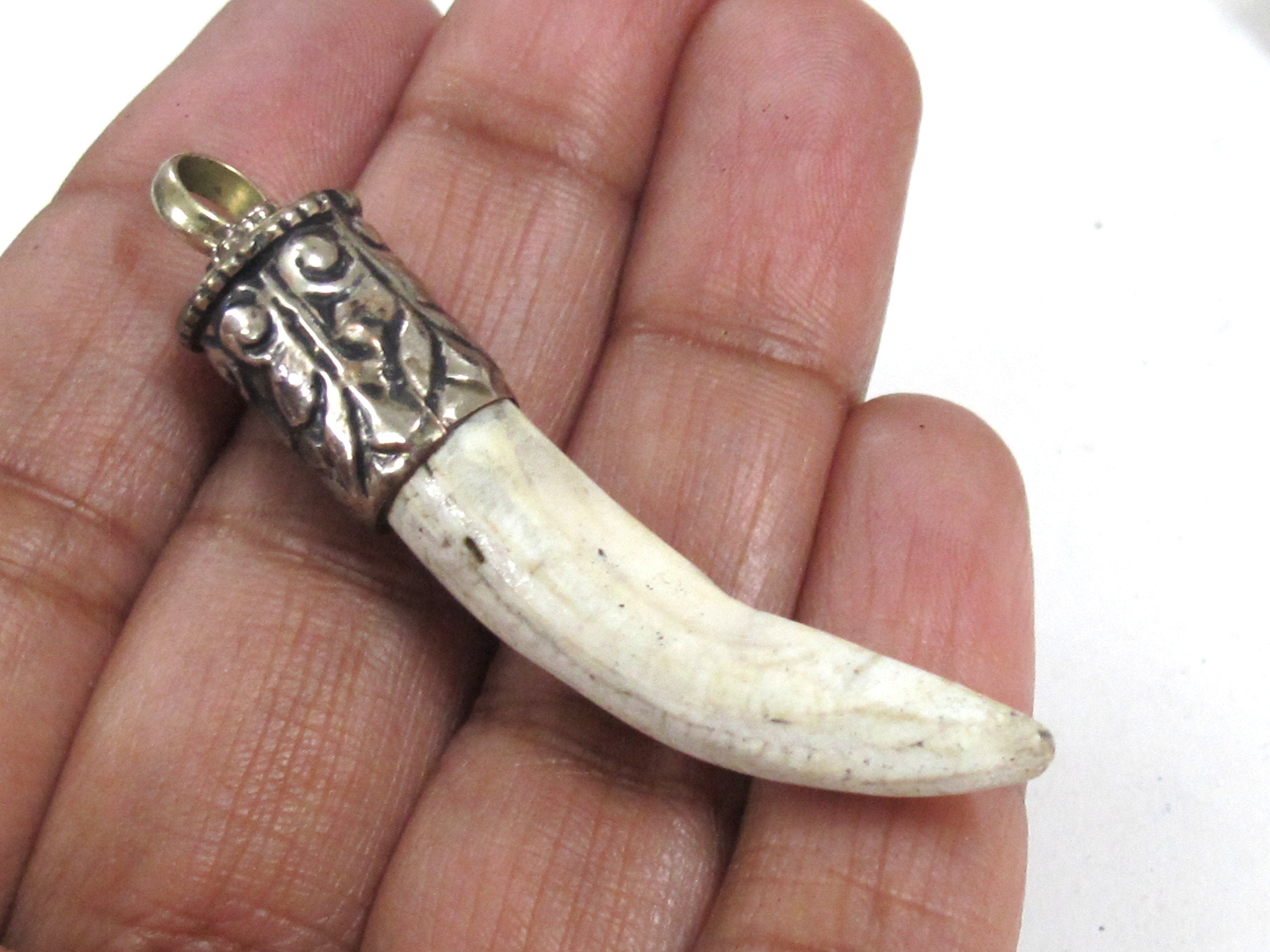 1 Pendant - Tibetan silver color capped Naga Conch shell pendant from Nepal - PM295M
