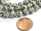 10 Beads - 8 mm round shape Dalmatian Jasper gemstone beads - GB008M