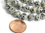 10 Beads - 8 mm round shape Dalmatian Jasper gemstone beads - GB008M