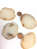 1 Agate bead slice - Raw freeform agate gemstone slice beads hole drilled -great for wire wrapping GM265G