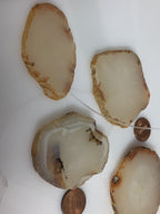 1 Agate bead slice - Raw freeform agate gemstone slice beads hole drilled -great for wire wrapping GM265G