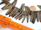 1 Full strand - Natural coconut sticks Full Strand 15 inches - NB127K