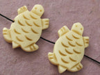Carved turtle genuine recycled cattle bone beads - 2 beads - BD122