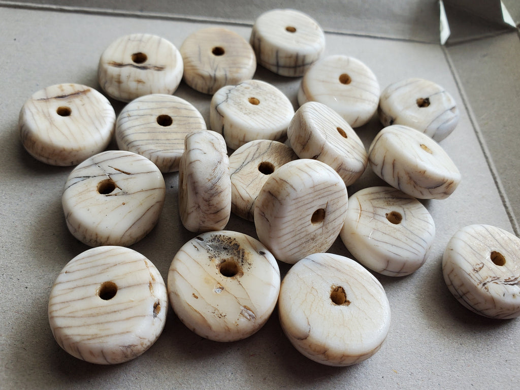 5 Beads - Ethnic Naga natural conch shell flat disc beads 17 - 18 mm size - CH047T