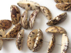 20 BEADS - Natural salwag palmwood seed beads banana shape - BD123