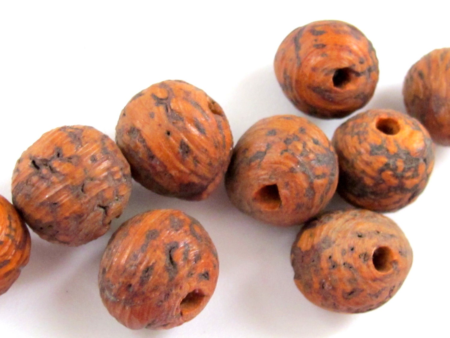 10 Beads - Large size bodhi seed beads from Nepal- NB008