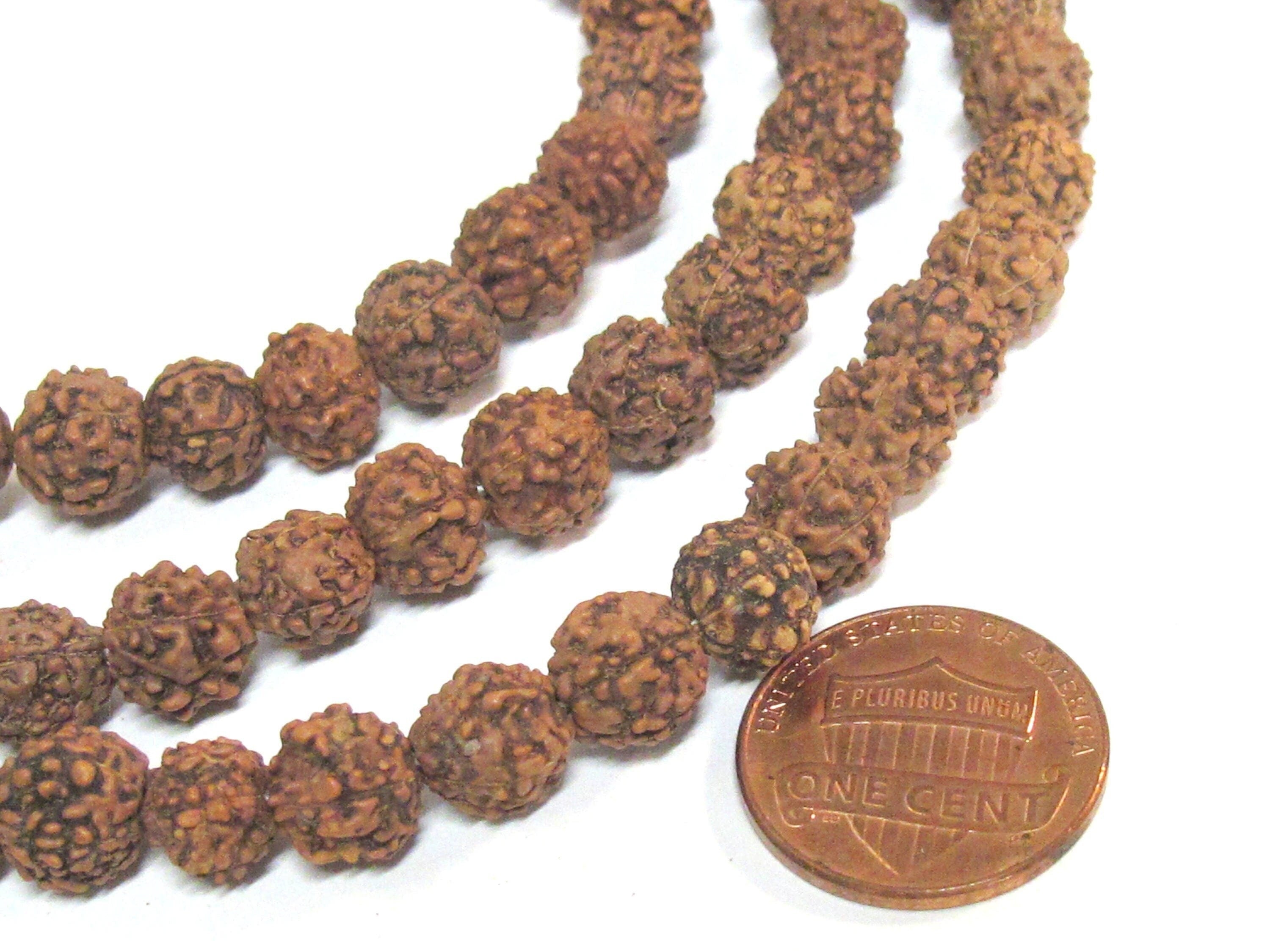 1 Rudraksha strand from Nepal - Wholesale lot 108 beads per strand temporarily strung mala making Rudraksha seed beads 8-9 mm - ML121W