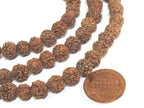 25 beads - Rudraksha seed beads from Nepal mala making supply nature beads 8 - 9 mm - ML121W