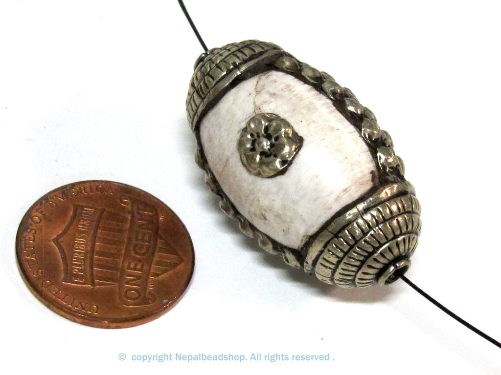 1 Bead - Large and Thick Tribal naga conch shell silver capped floral design focal bead from Nepal - CH040B