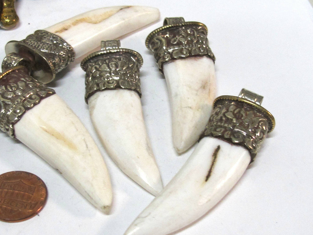 1 Tibetan shell Pendant - Ethnic Tibetan tribal naga conch shell tooth shape shell pendant with carving on bail - SP013C