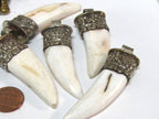 1 Tibetan shell Pendant - Ethnic Tibetan tribal naga conch shell tooth shape shell pendant with carving on bail - SP013C