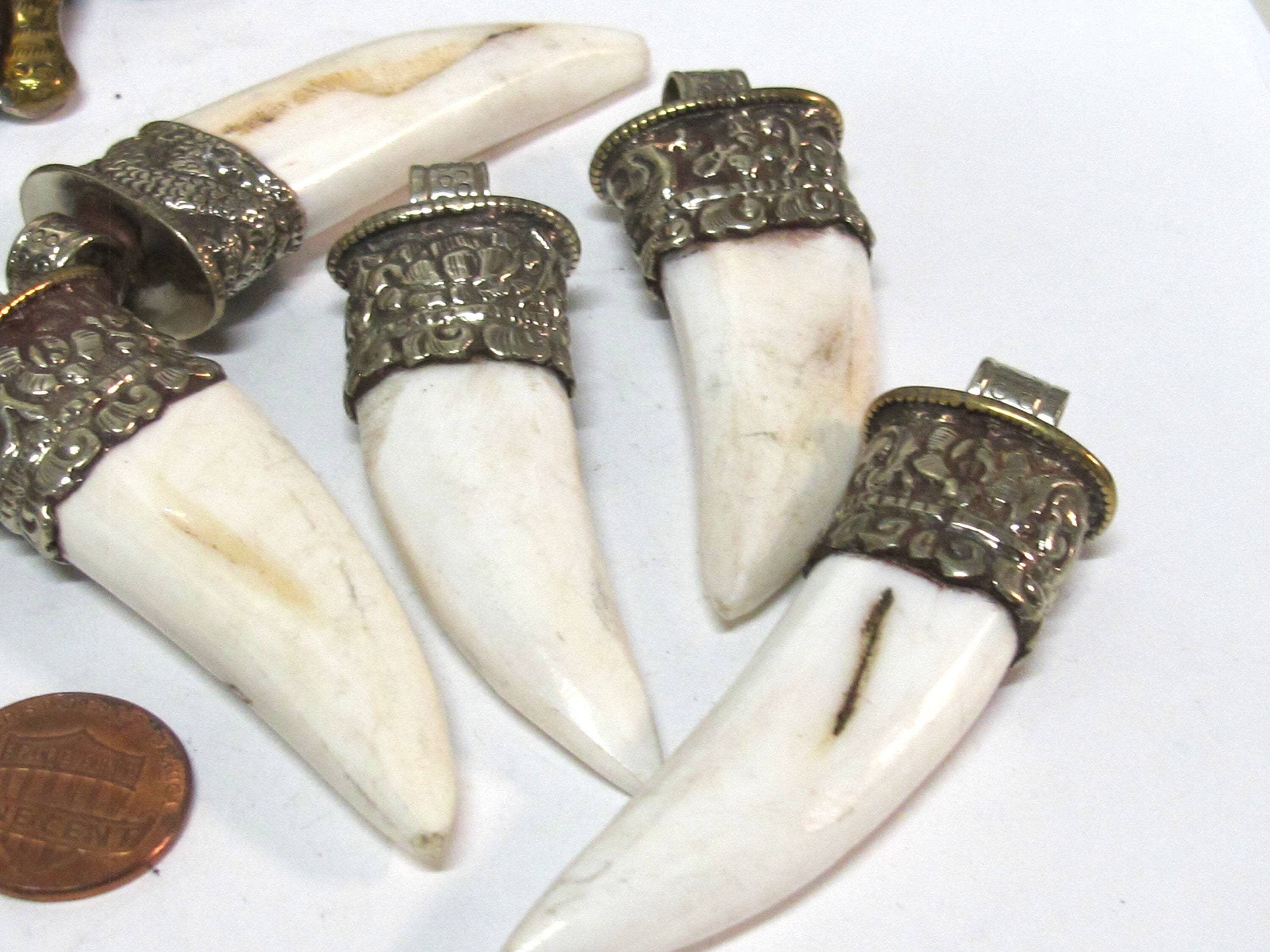 1 Tibetan shell Pendant - Ethnic Tibetan tribal naga conch shell tooth shape shell pendant with carving on bail - SP013C
