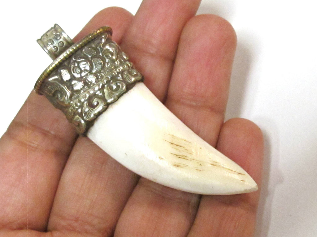 1 Tibetan shell Pendant - Ethnic Tibetan tribal naga conch shell tooth shape shell pendant with carving on bail - SP013C