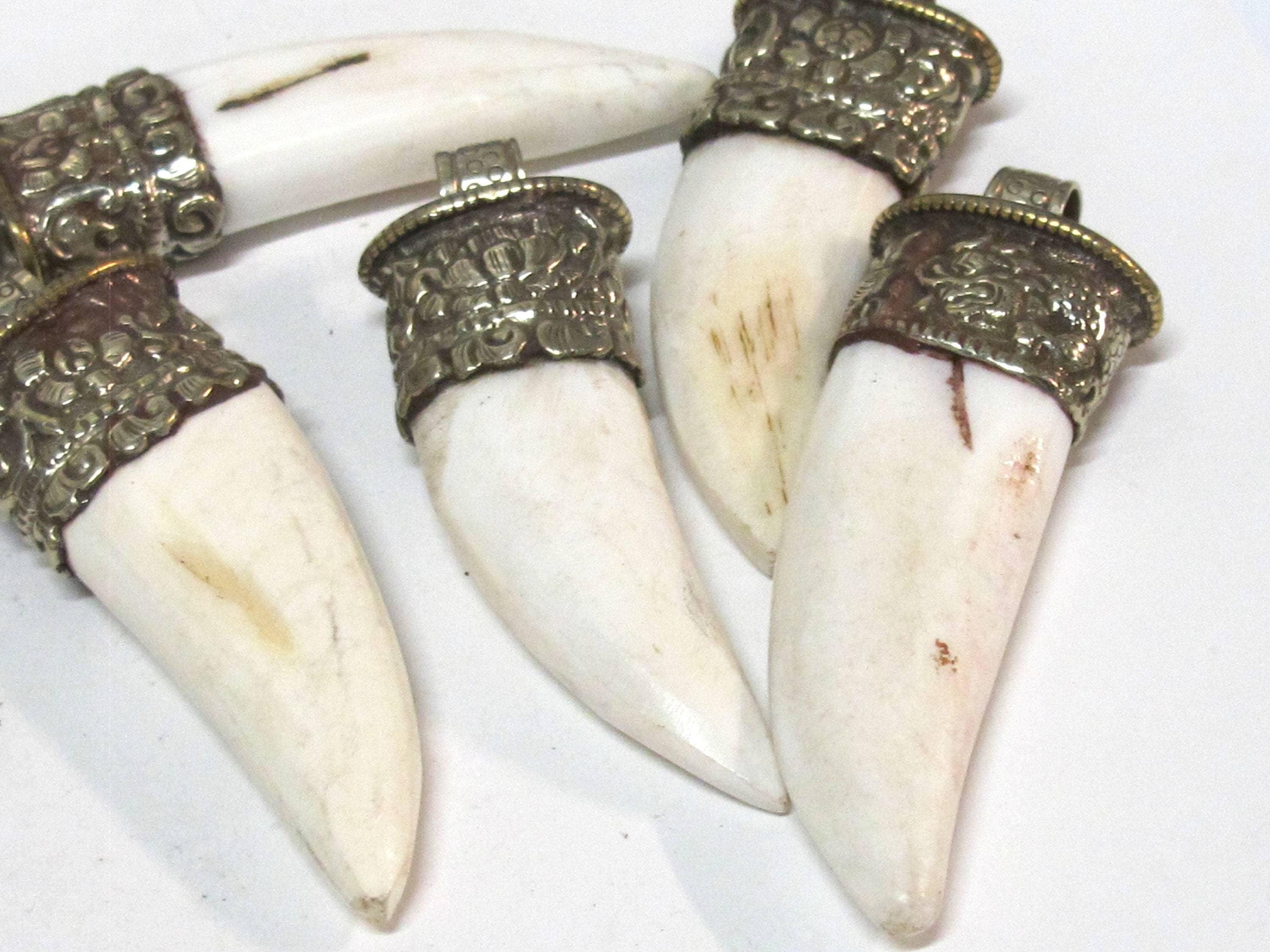 1 Tibetan shell Pendant - Ethnic Tibetan tribal naga conch shell tooth shape shell pendant with carving on bail - SP013C