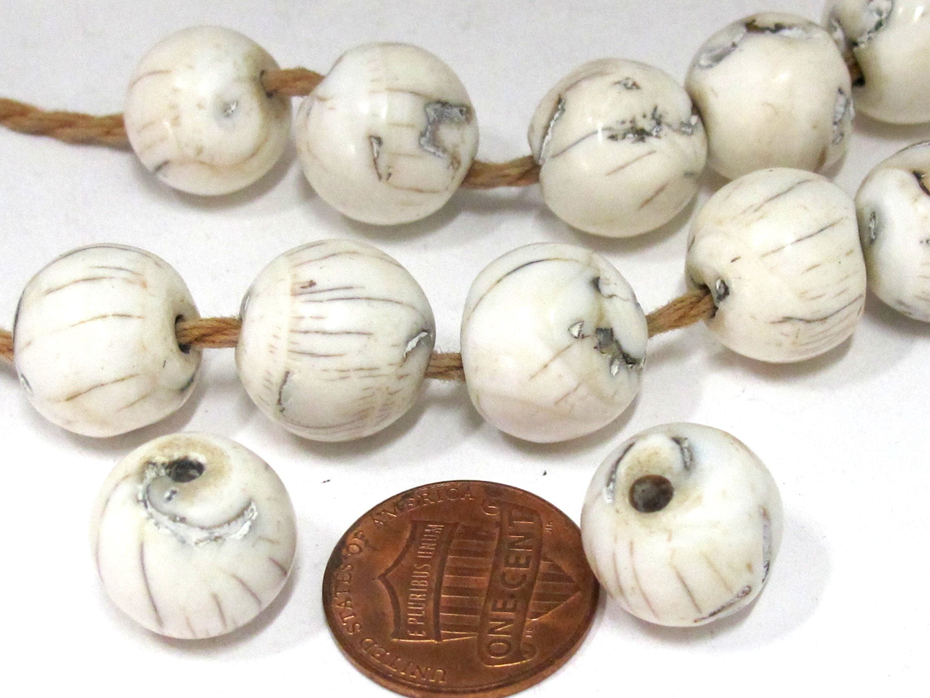 1 Bead - Ethnic tibetan Nepal natural naga conch shell chank beads - CH069