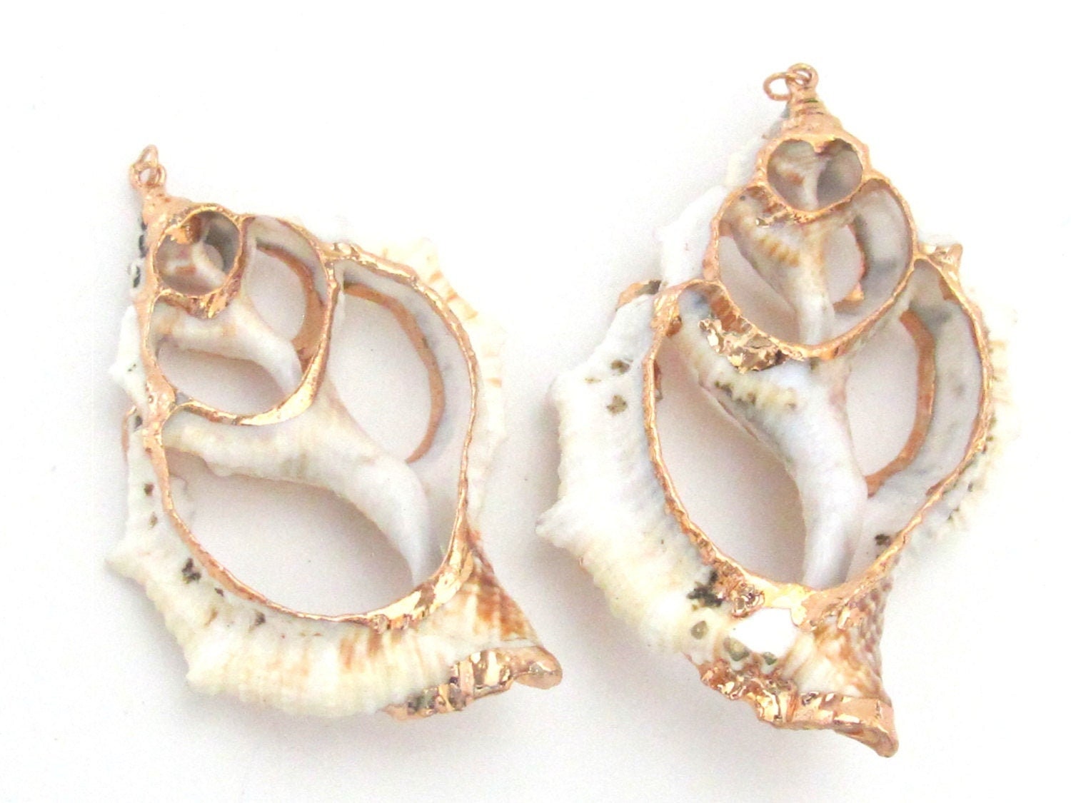 Shell pendant - Medium size complete center cut fox conch shell gold edged pendant - 1 piece - SP034