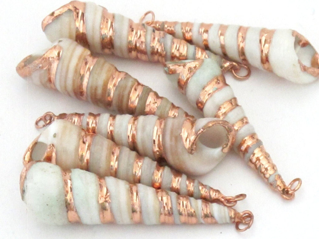 Beautiful Rose Gold edged spiral turitella shell pendant - 1 piece - SP030A