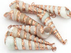 Beautiful Rose Gold edged spiral turitella shell pendant - 1 piece - SP030A