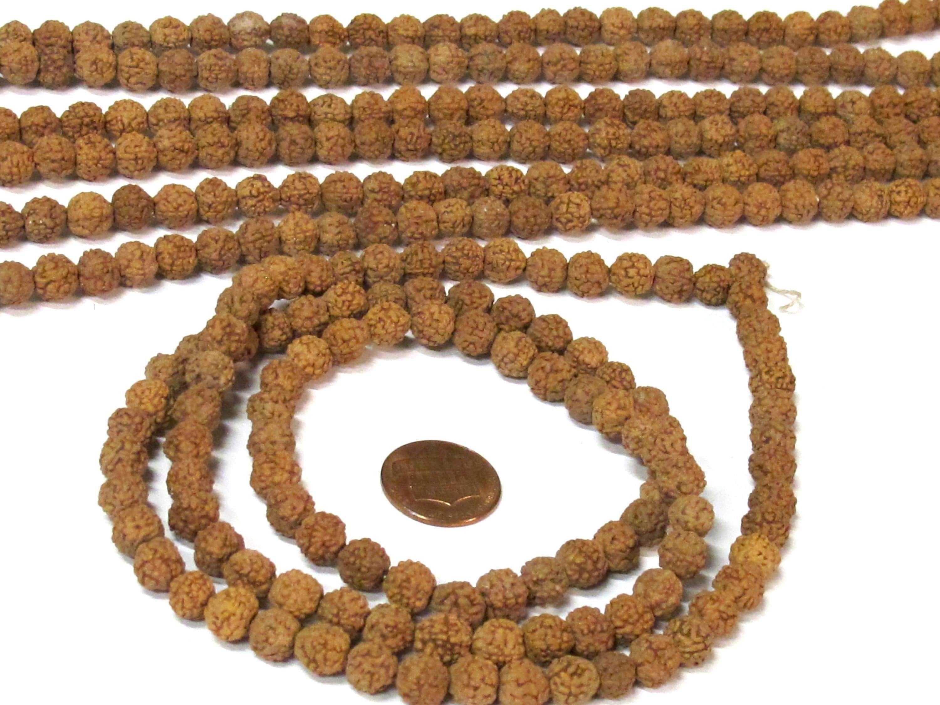 1 Rudraksha strand from Nepal - Wholesale lot 108 beads per strand temporarily strung mala making Rudraksha seed beads 8-9 mm - ML121W