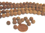 1 Rudraksha strand from Nepal - Wholesale lot 108 beads per strand temporarily strung mala making Rudraksha seed beads 8-9 mm - ML121W