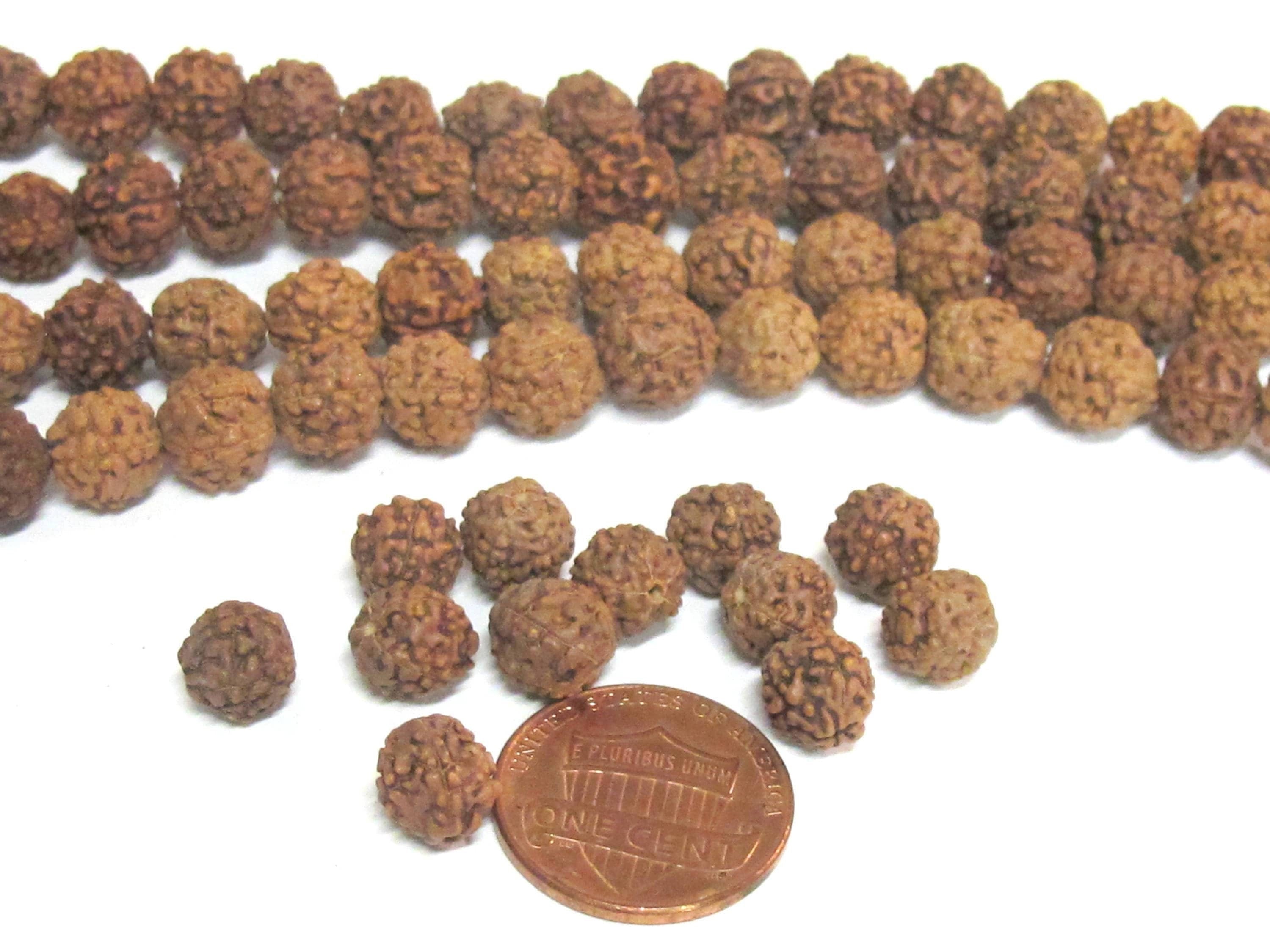 1 Rudraksha strand from Nepal - Wholesale lot 108 beads per strand temporarily strung mala making Rudraksha seed beads 8-9 mm - ML121W