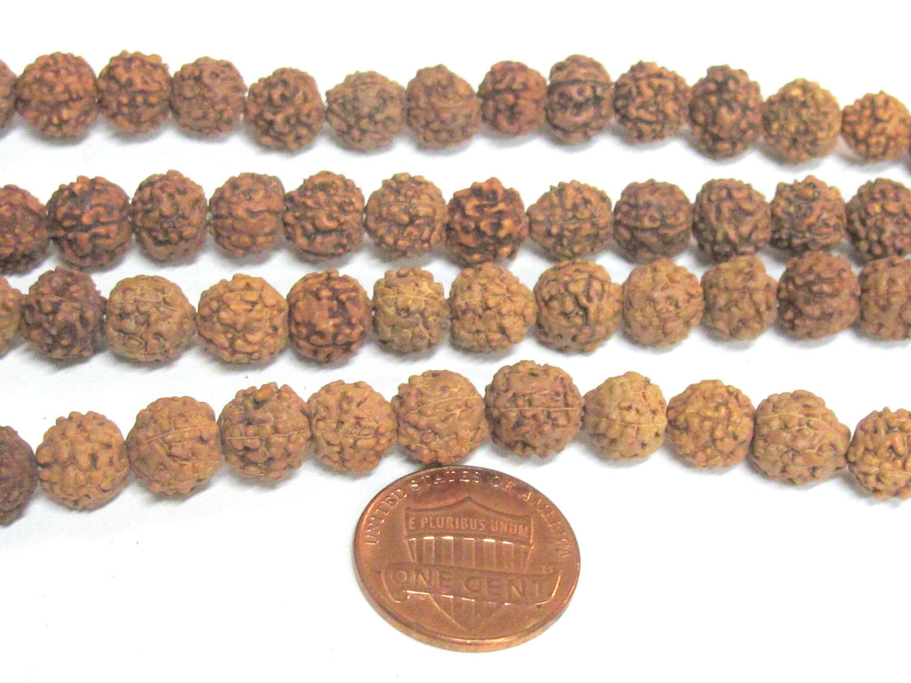 1 Rudraksha strand from Nepal - Wholesale lot 108 beads per strand temporarily strung mala making Rudraksha seed beads 8-9 mm - ML121W