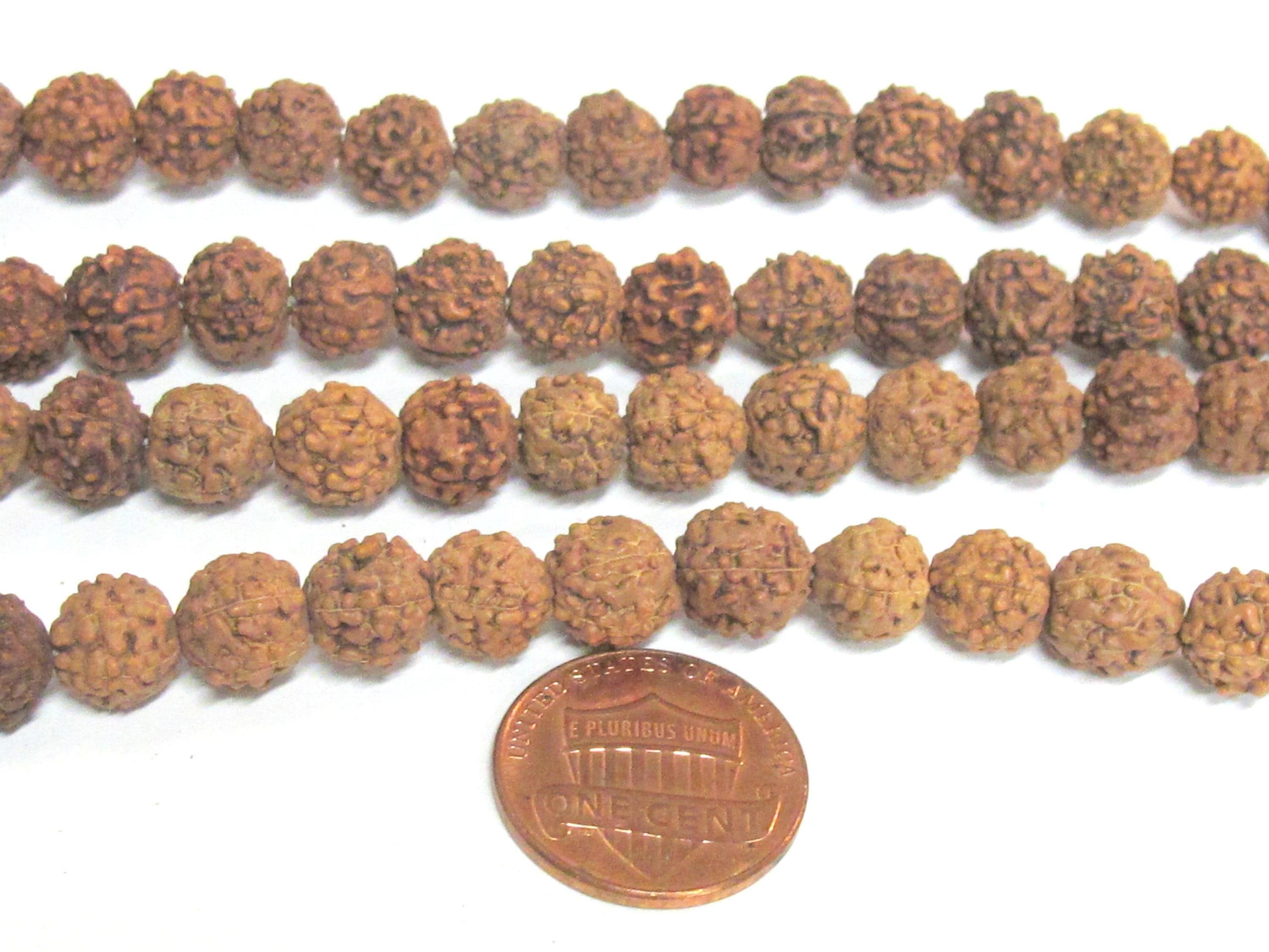 25 beads - Rudraksha seed beads from Nepal mala making supply nature beads 8 - 9 mm - ML121W