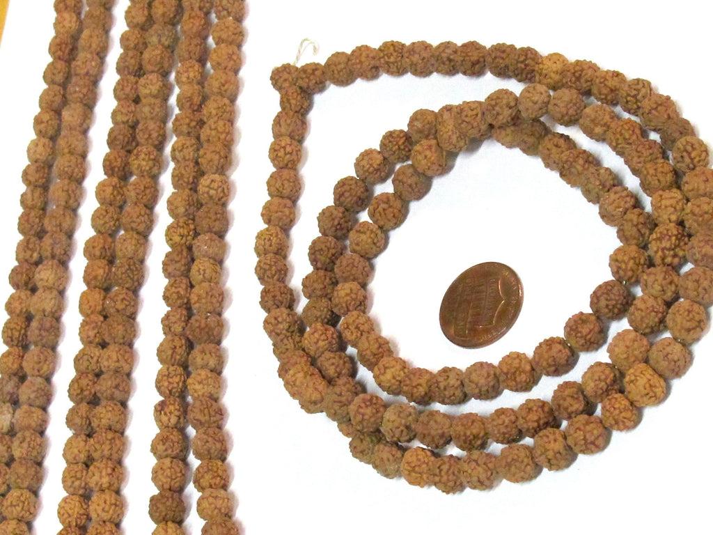 1 Rudraksha strand from Nepal - Wholesale lot 108 beads per strand temporarily strung mala making Rudraksha seed beads 8-9 mm - ML121W