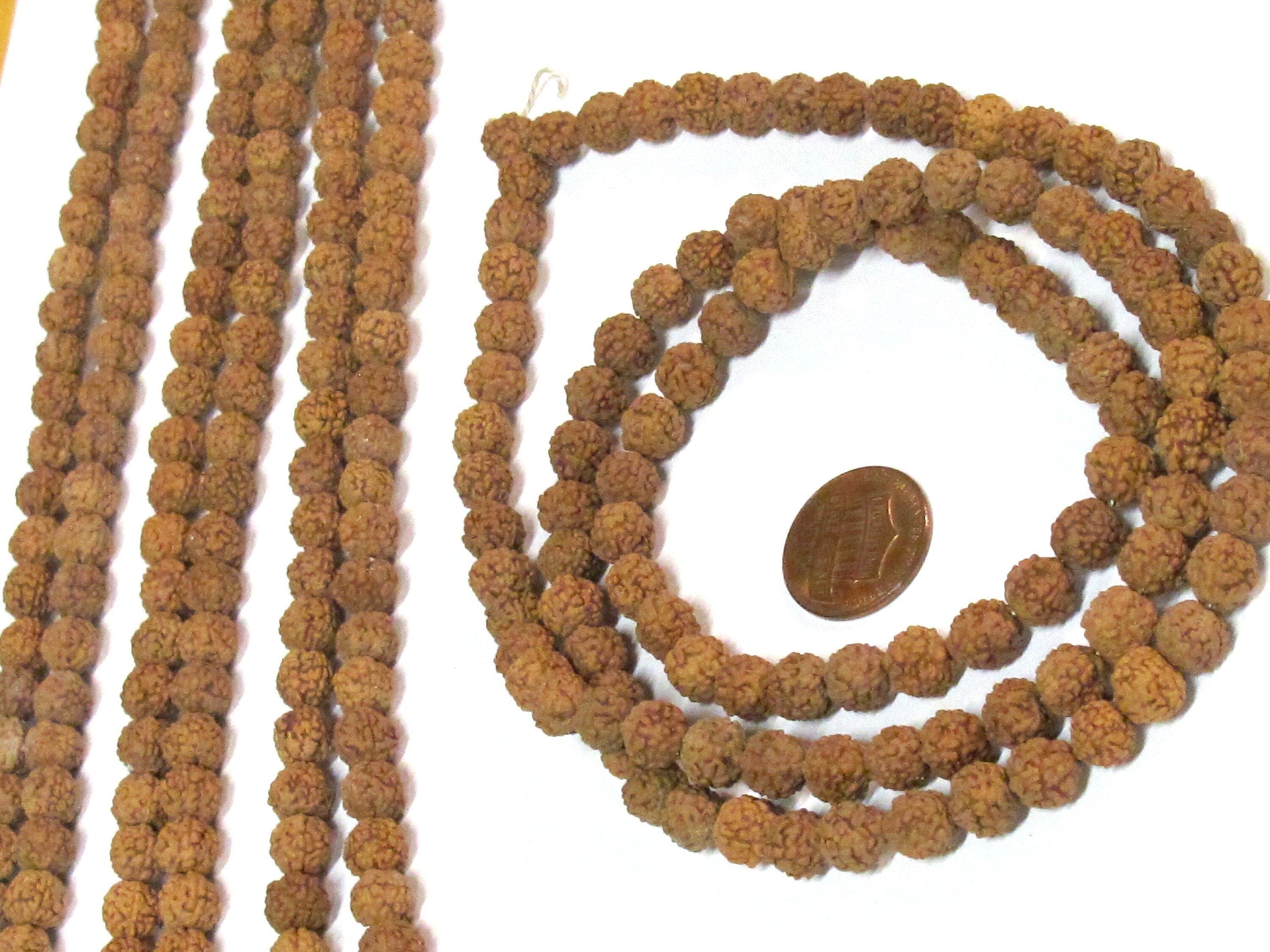 1 Rudraksha strand from Nepal - Wholesale lot 108 beads per strand temporarily strung mala making Rudraksha seed beads 8-9 mm - ML121W