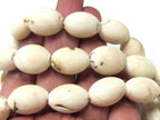 2 BEADS - Thick Ethnic naga conch shell beads from Nepal - CH058
