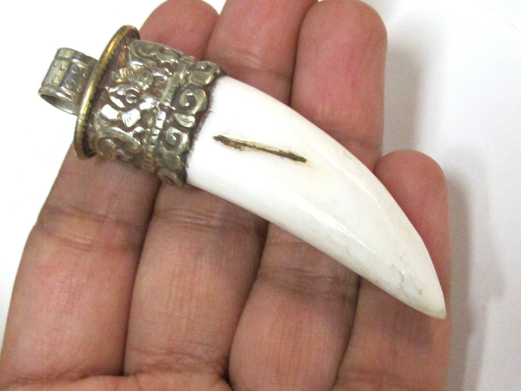 1 Tibetan shell Pendant - Ethnic Tibetan tribal naga conch shell tooth shape shell pendant with carving on bail - SP013C